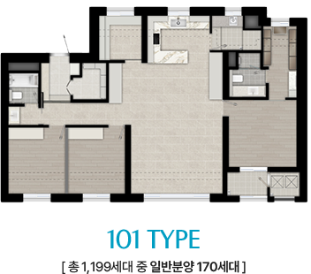 101 TYPE